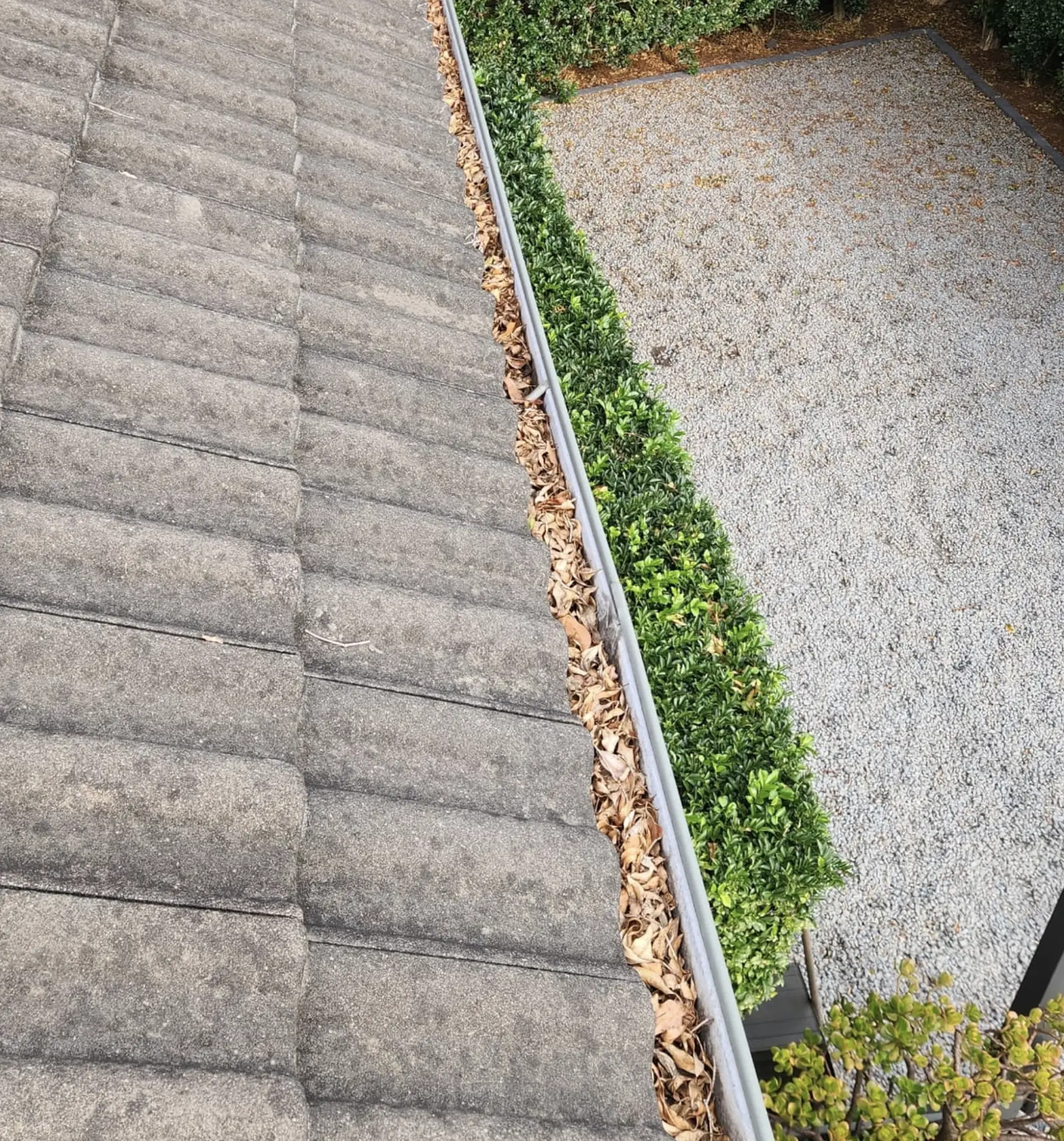 Gutter Cleaning Sevice