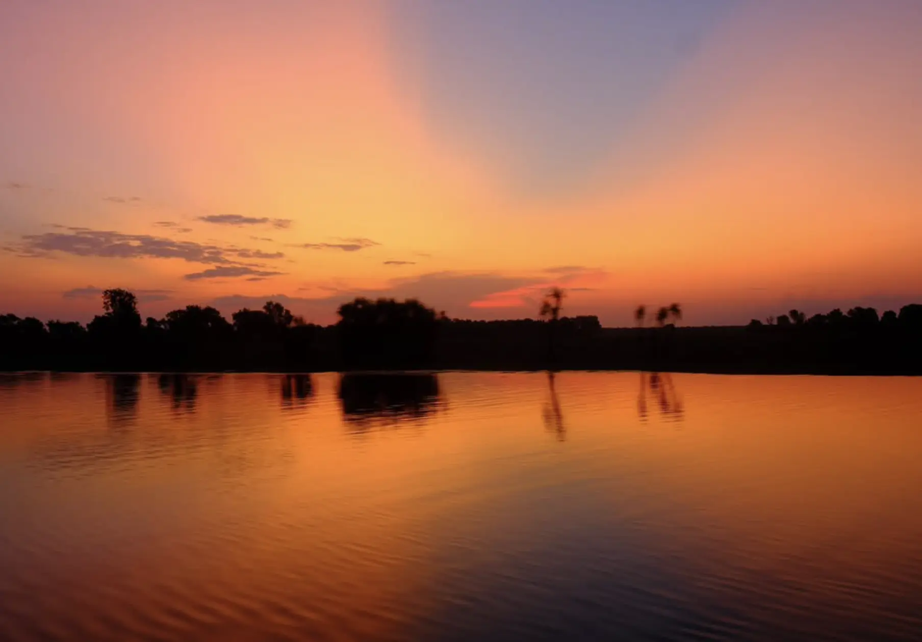 Kakadu Wildlife and Crocodiles